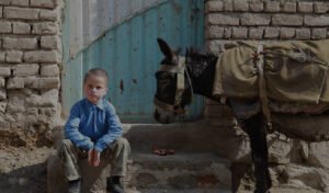 Read more about the article Film Review: When Pomegranates Howl is stunning